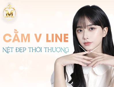 ĐỘN CẰM VLINE